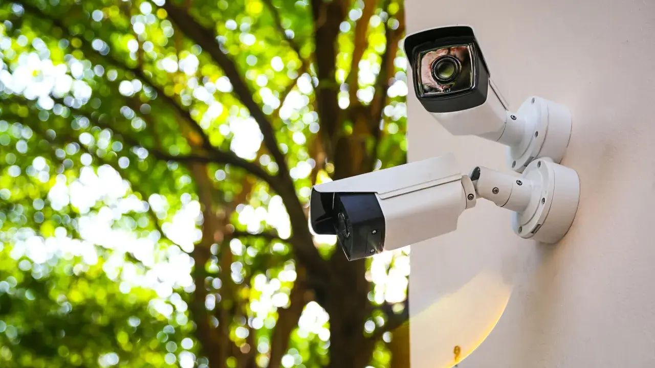 Dwa białe kamery monitoringu na ścianie, za nimi zielone liście drzew. Monitoring na działce ROD przepisy.