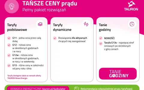 Porównanie taryf prądu: podstawowe, dynamiczne i tanie godziny. Sprawdź, która taryfa c dla kogo będzie najlepsza.
