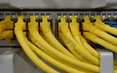 Żółte kable RJ45 podłączone do portów sieciowych, z podświetlonymi diodami. Kolejność portów od 24 do 43.