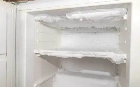 W lodówce widać jabłko, banana i jogurty. Na ściankach pojawia się szron, a w rogu widać zielony odpływ.