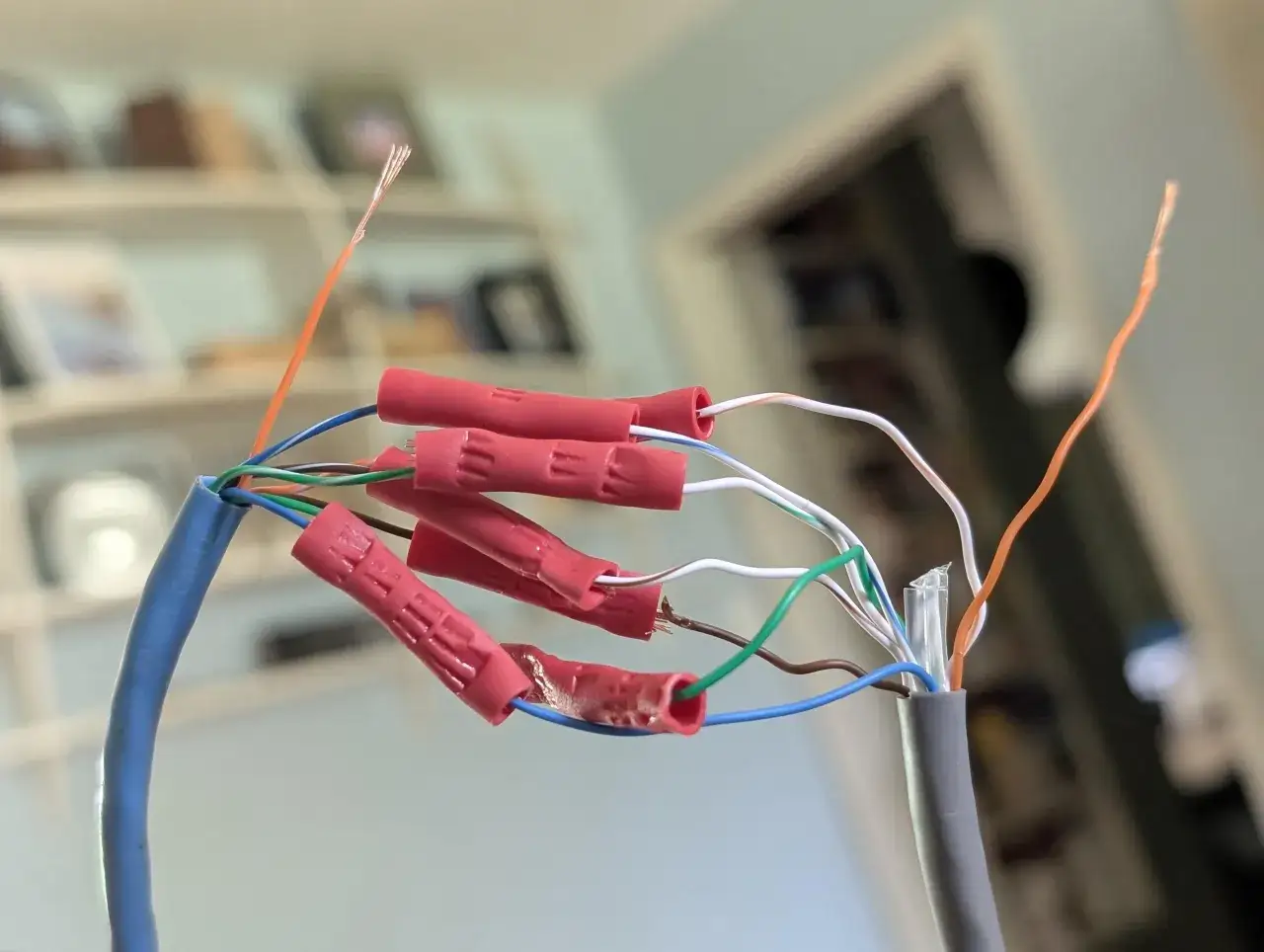 Łączenie przewod&oacute;w sieciowych, aby przedłużyć kabel internetowy. Czerwone złączki zaciskowe łączą żyły.